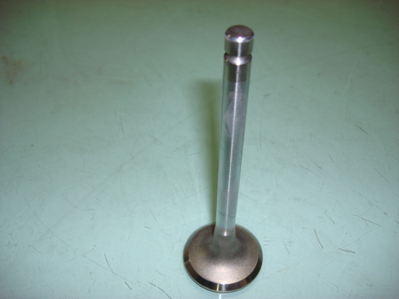 Exhaust valve; can be replaced by 1007-00459