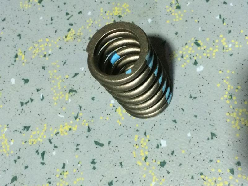 Valve spring-1