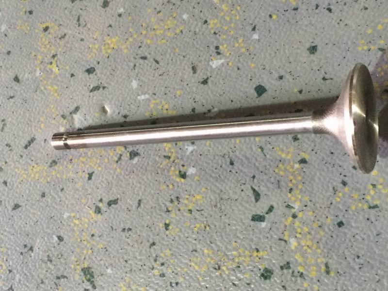 Exhaust valve assembly