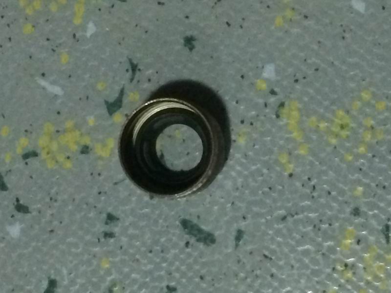 Valve seal-1