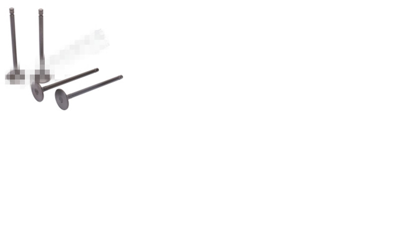 Дверца воздухозаборника