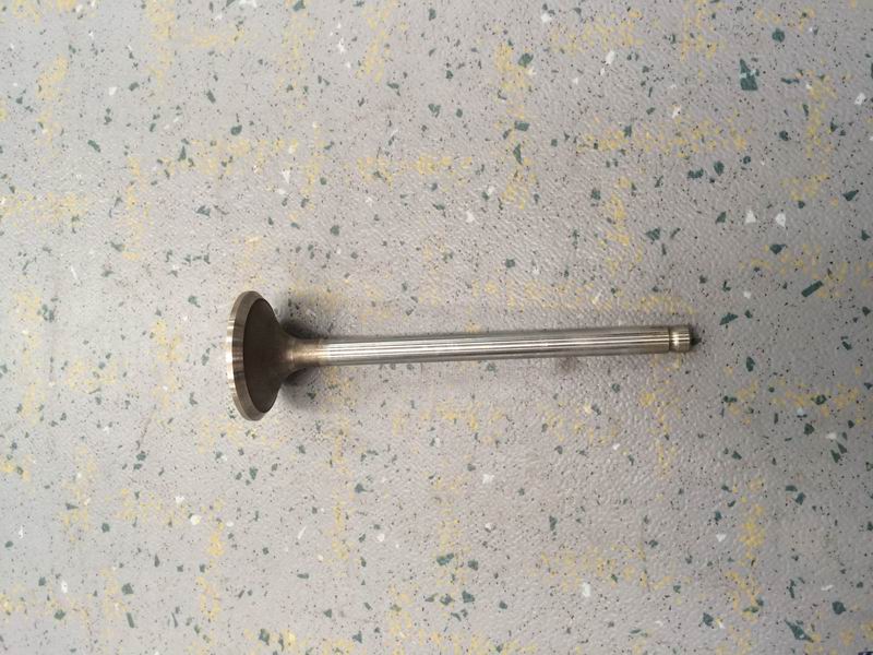 Вытяжная дверь