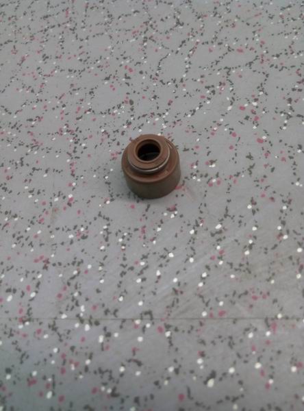 Intake valve oil seal