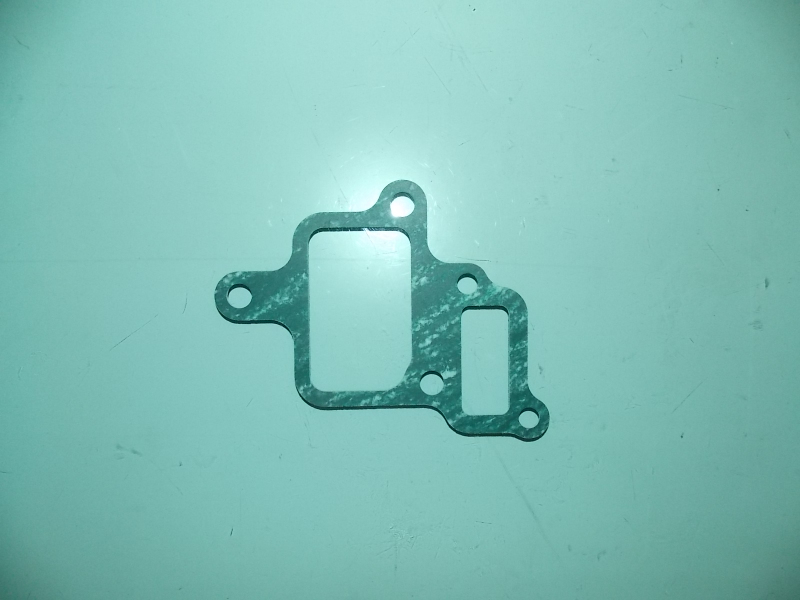 Intake pipe gasket