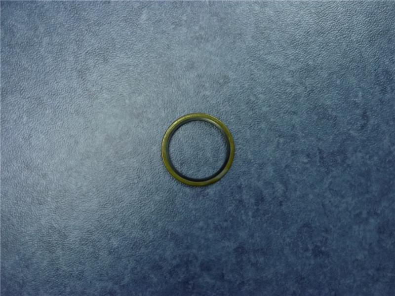Sealing ring - magnetic screw plug-1