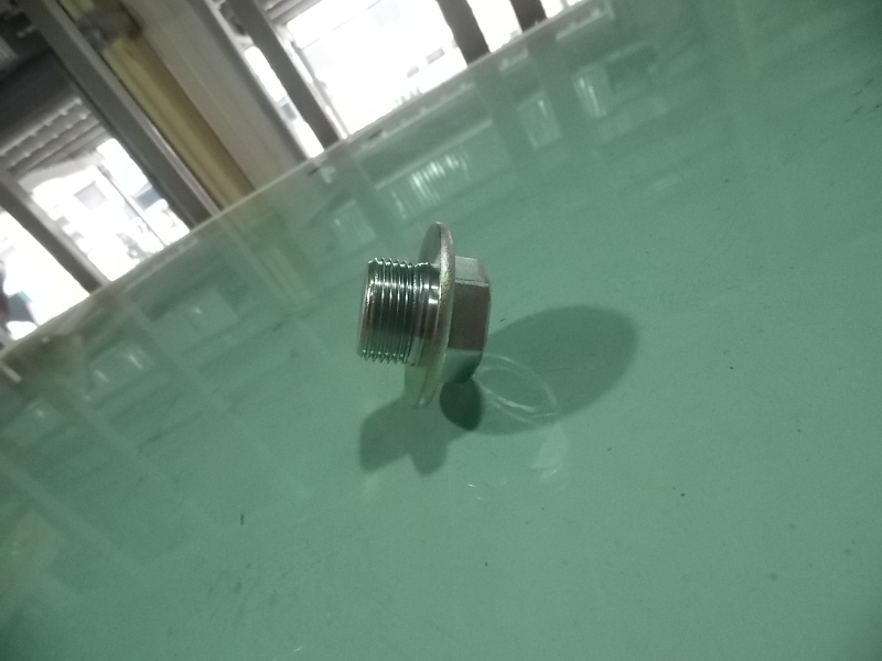 Oil drain screw plug-1