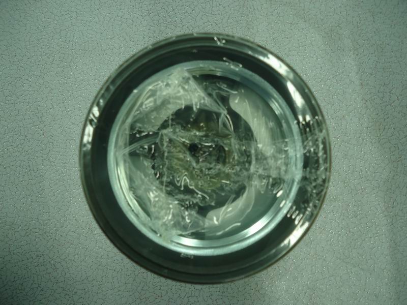 Engine oil filter element; replaced by 1012-00598-1
