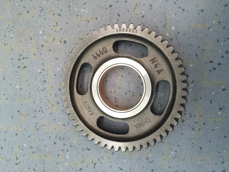 Water pump idler gear