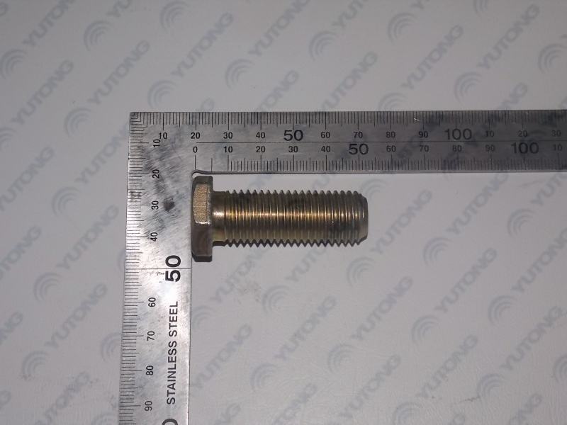 Engine crankshaft pulley