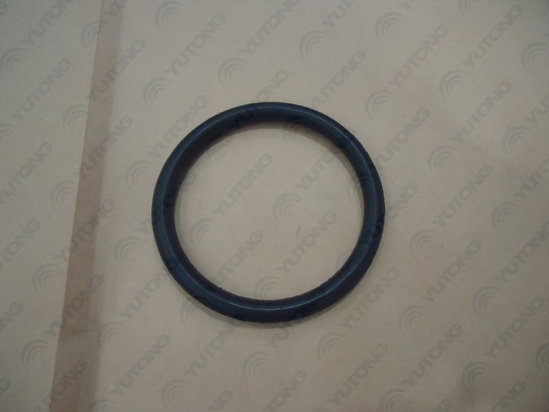 Sealing ring