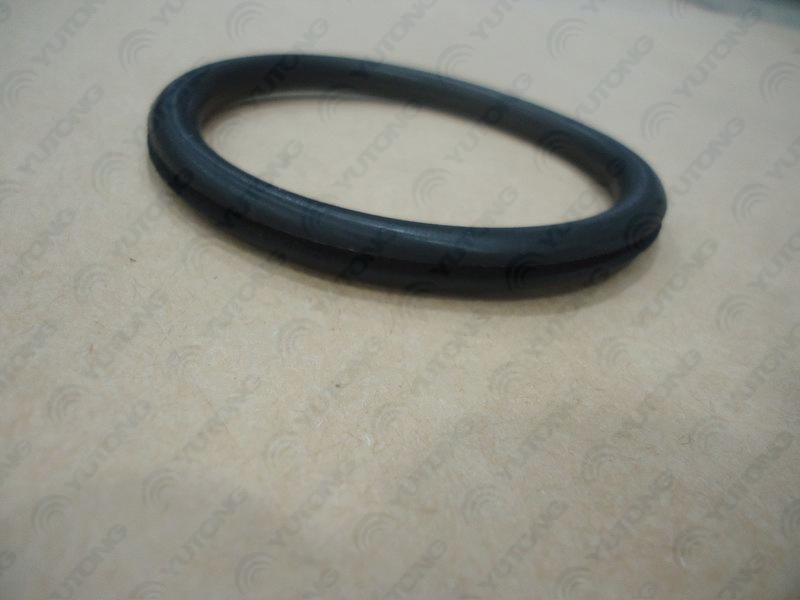 Sealing ring-1
