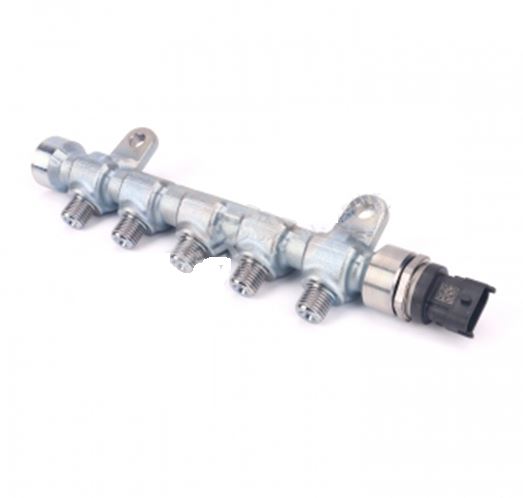 Fuel common rail pipe-1
