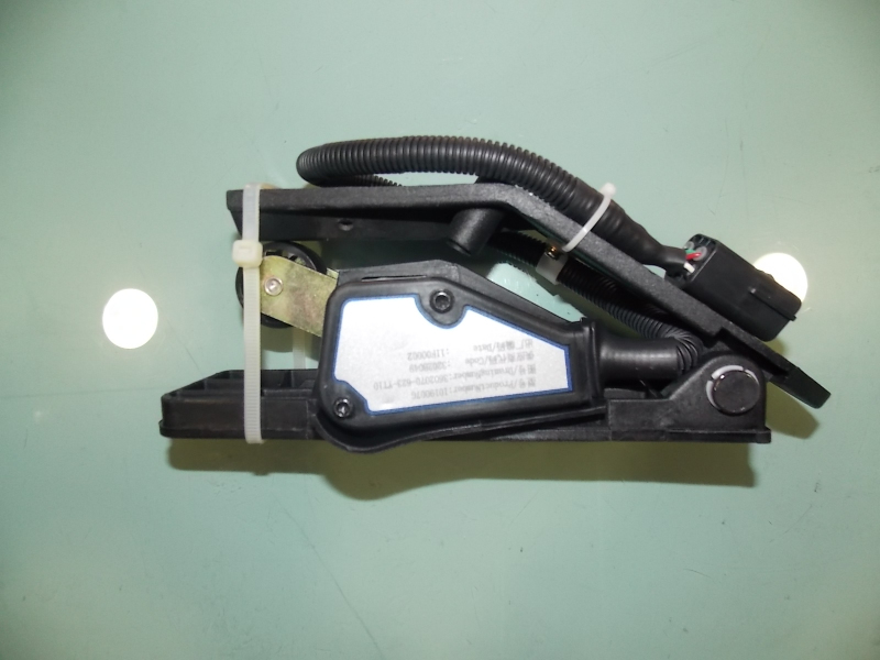 D Electronic throttle pedal assembly (with CA6DF3-24E3)