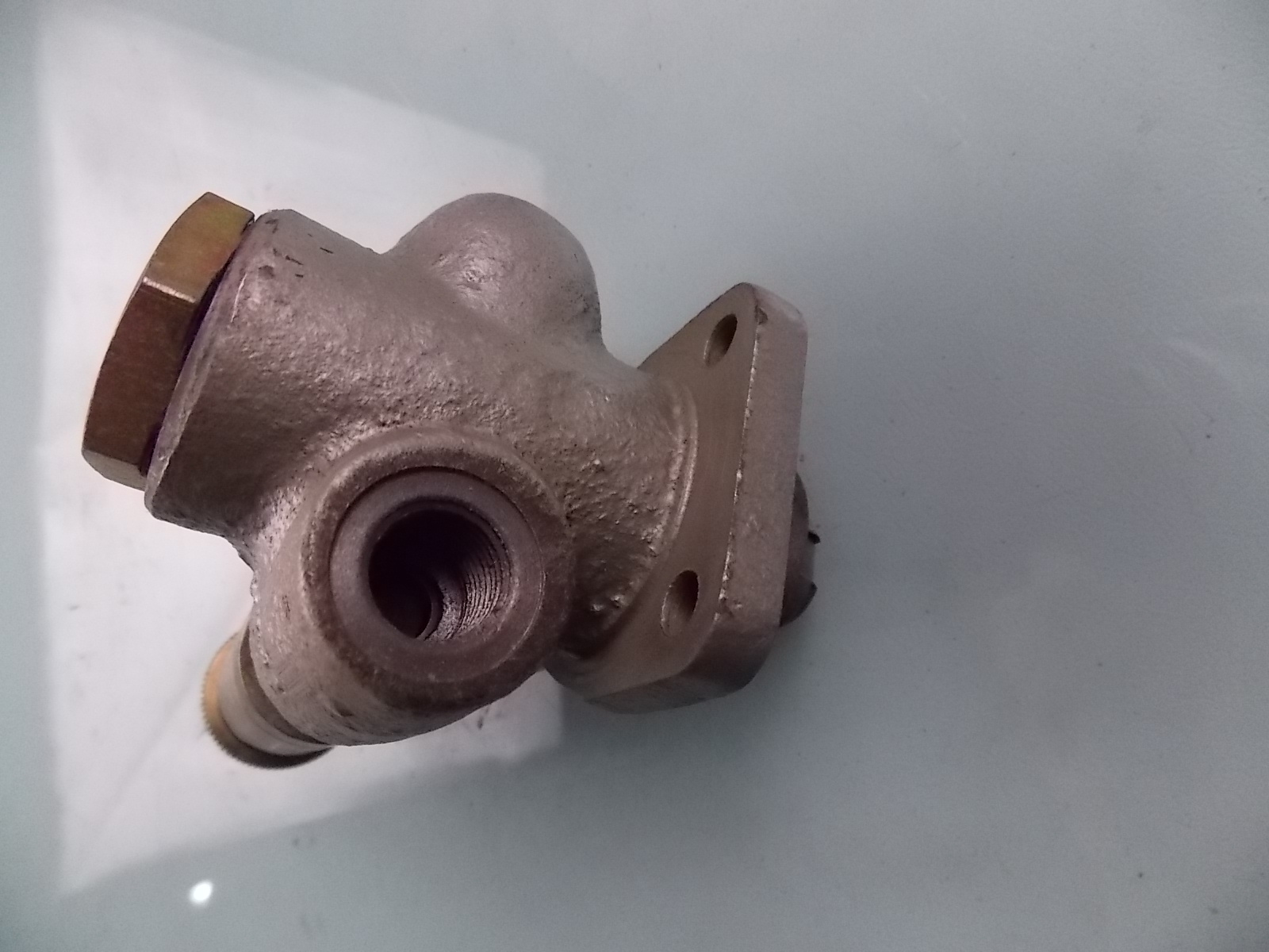 Oil Transport Pump-1