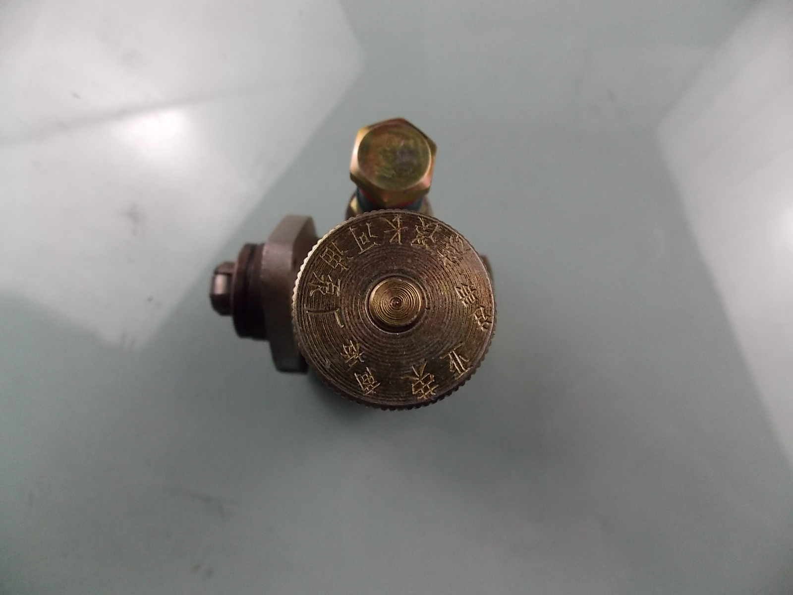 Oil Transport Pump-2
