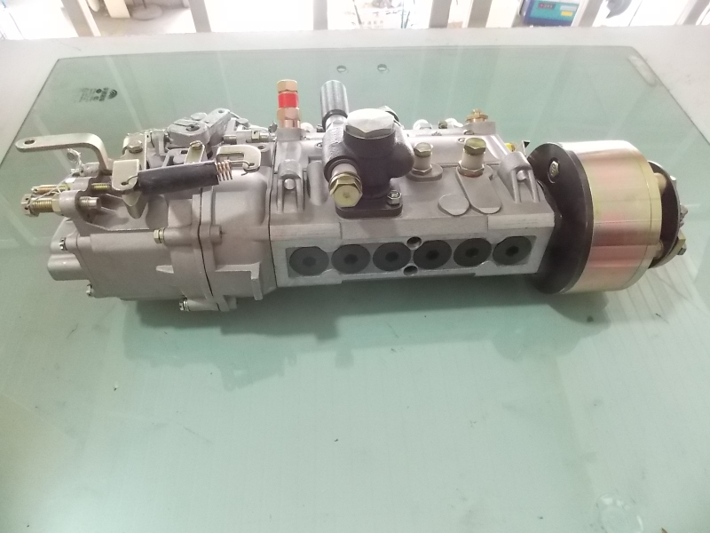 Fuel injection pump (environmental)