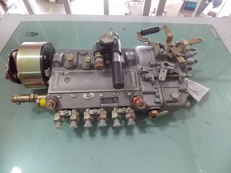 Fuel injection pump (environmental)-1