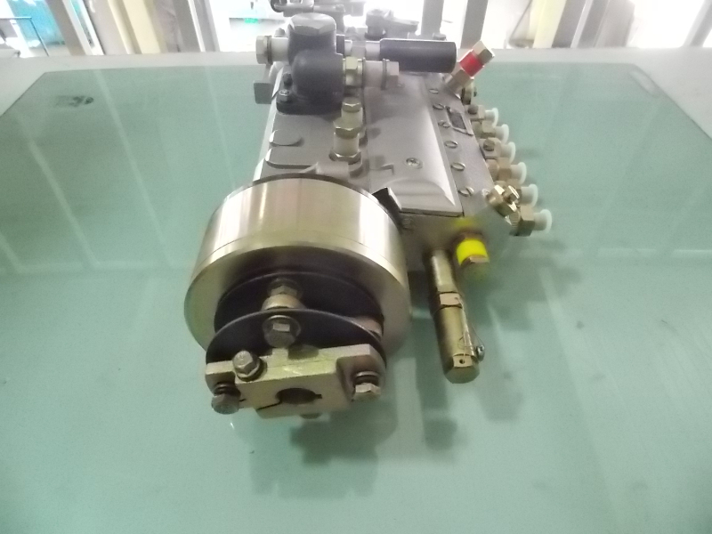 Fuel injection pump (environmental)-2