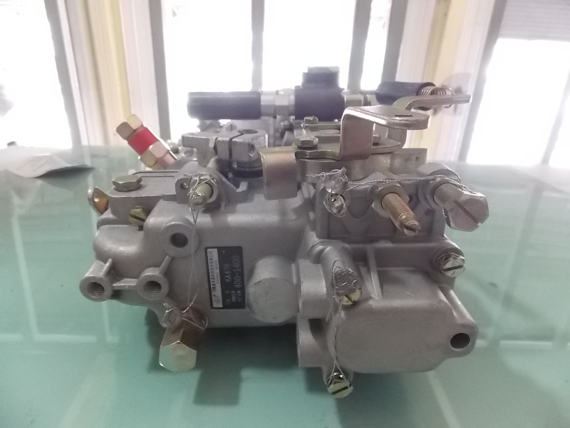 Fuel injection pump (environmental)-3