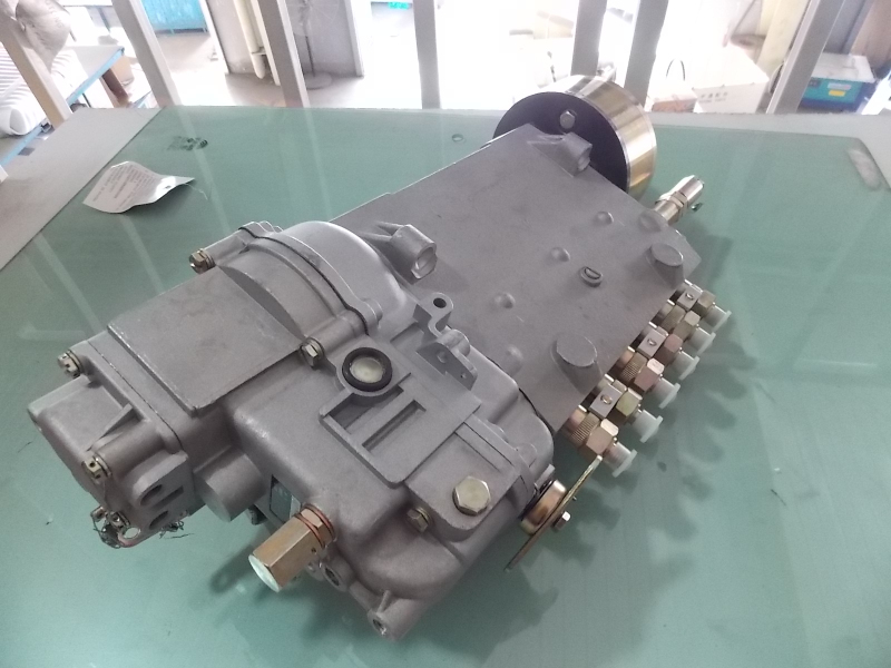 Fuel injection pump (environmental)-4