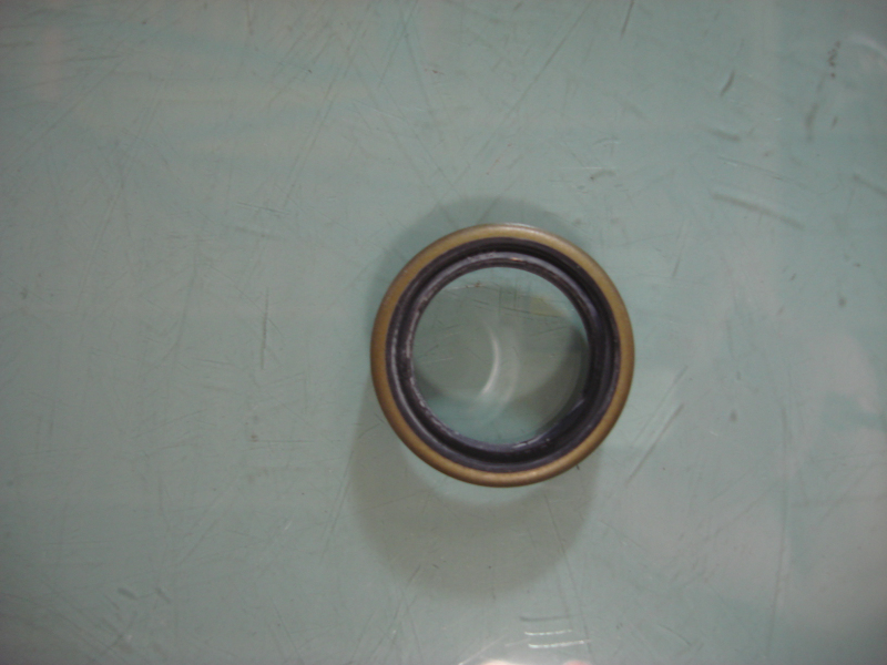 Fuel injection pump oil seal-1
