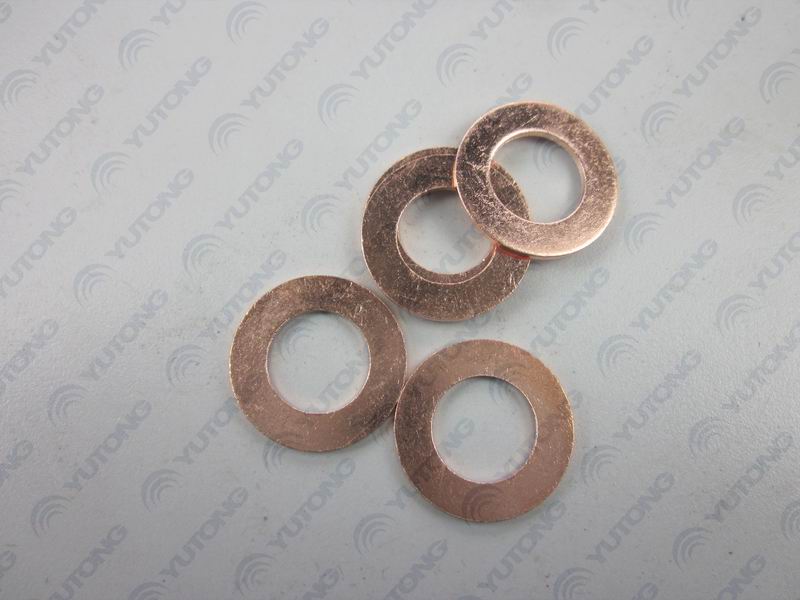 Fuel injector gasket