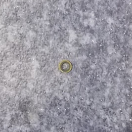 Fuel injector sealing ring