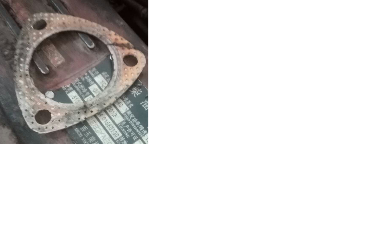 Exhaust gasket, others, 107/60