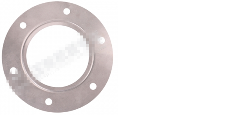 Catalytic muffler gasket-1