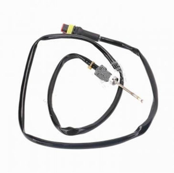 Temperature sensor in front of the catalytic