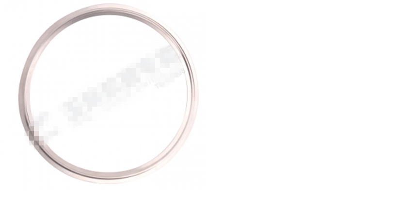 Catalytic muffler gasket