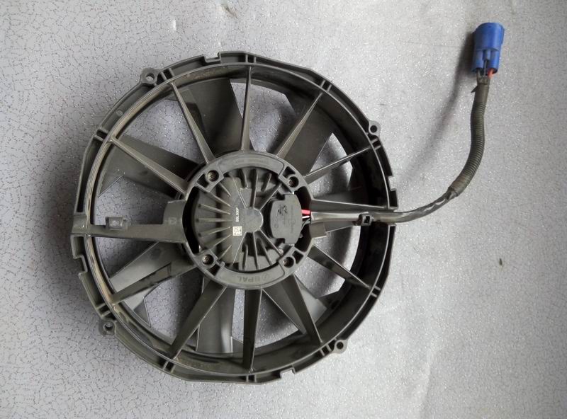fan