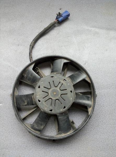 fan-1