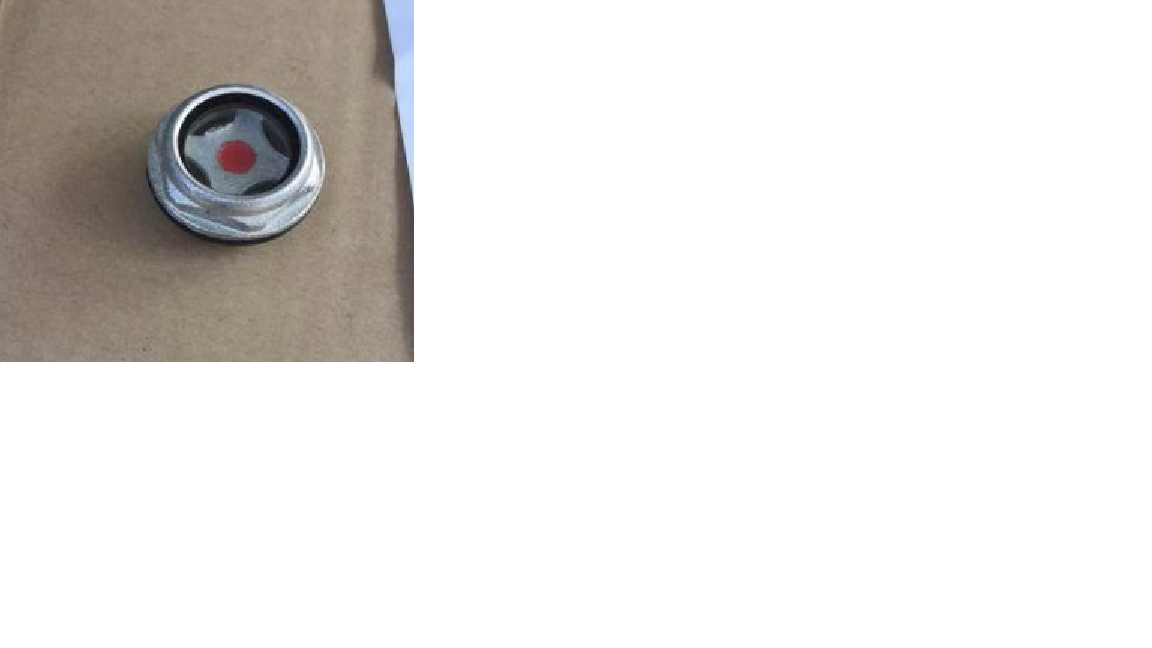 Level observation window