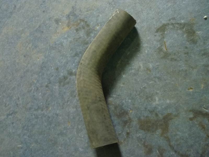 Radiator outlet hose