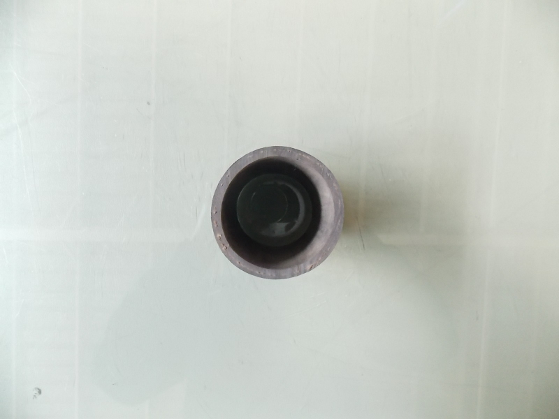 Radiator outlet hose