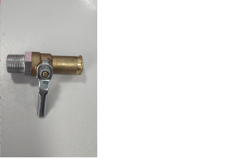 Temperature air inlet valve assembly