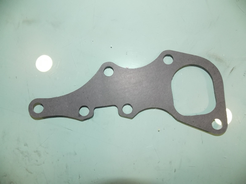 Thermostat gasket