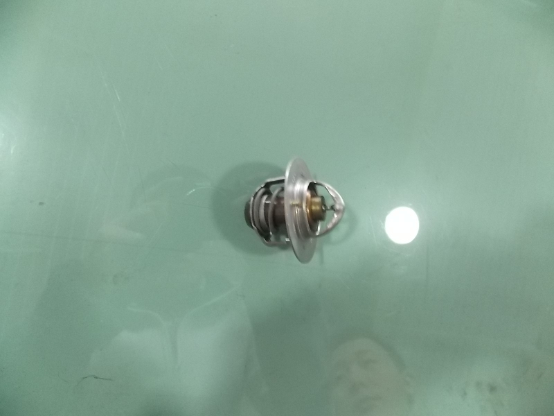 Thermostat; can be used for 1306-00492 generations