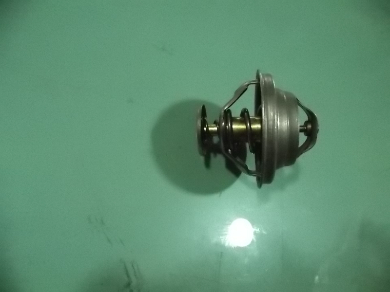 Thermostat; 1306-00751 can be replaced