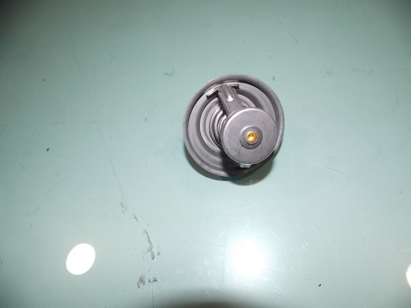 Thermostat; 1306-00751 can be replaced-2