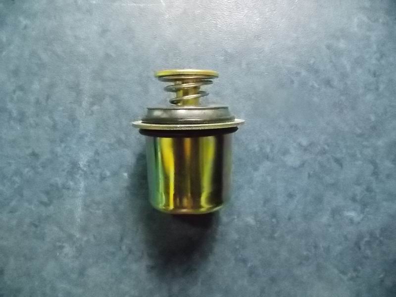 Thermostat; available for 1306-00570 generations-1