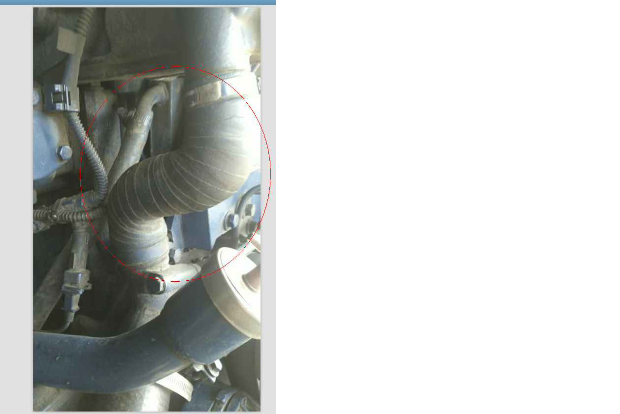 Small circulation tube