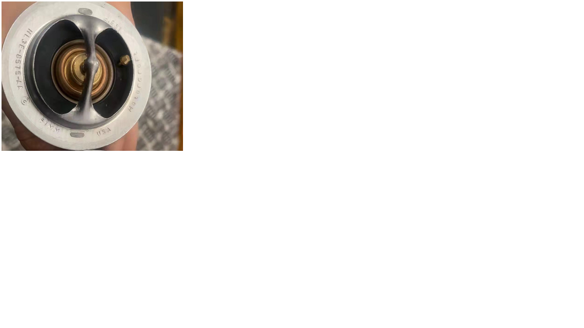 Термостат; доступный 1306-00889