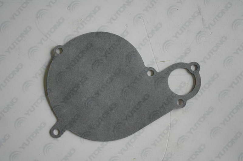 Water pump gasket