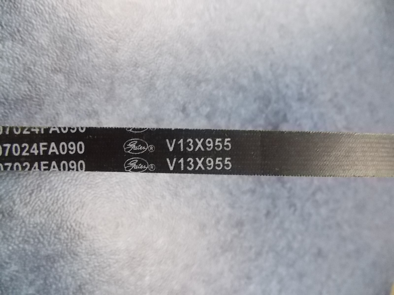 Water pump belt; 13*955-4
