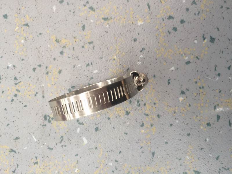 Hose clamp-1