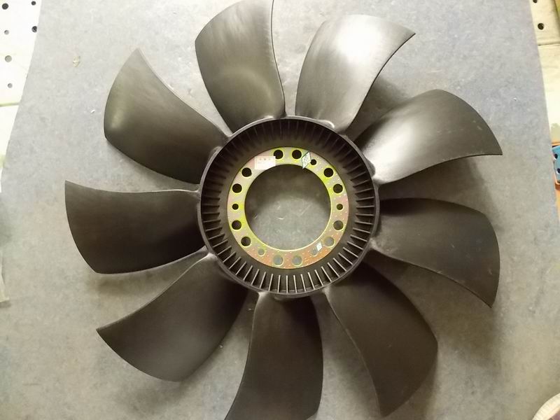 fan