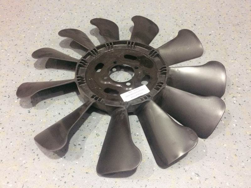 fan