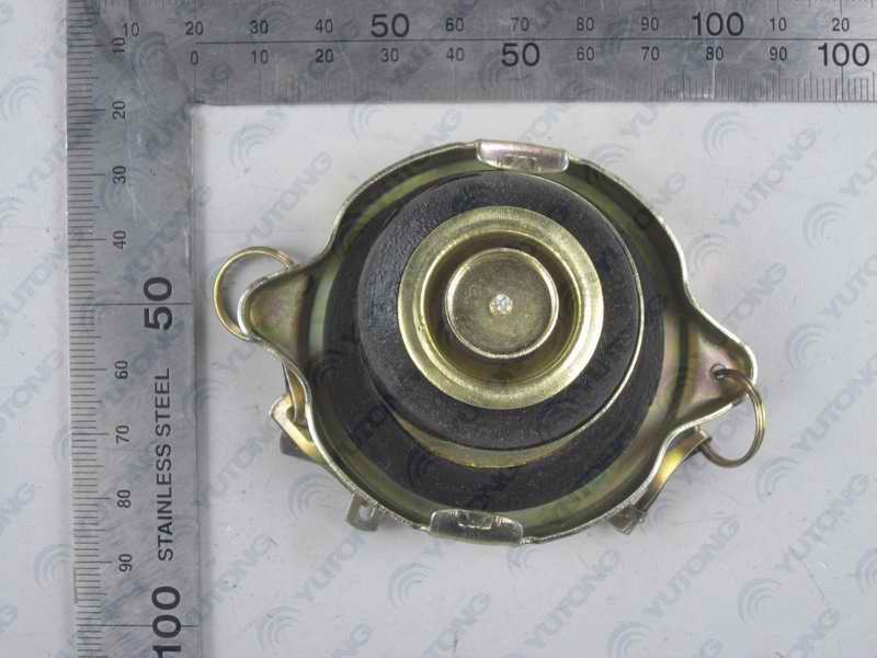 Expansion tank cover-1